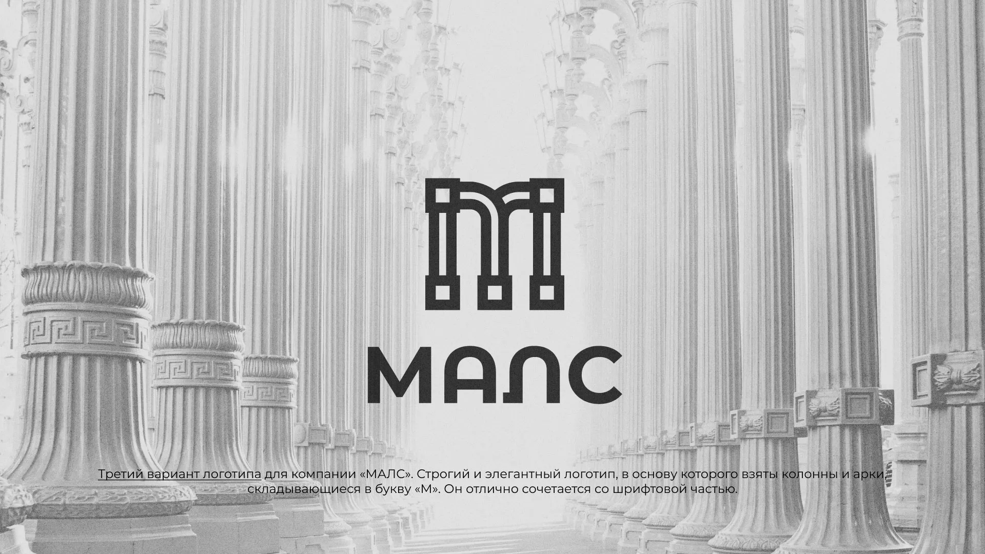 Разработка логотипа компании «МАЛС» в Чухломе