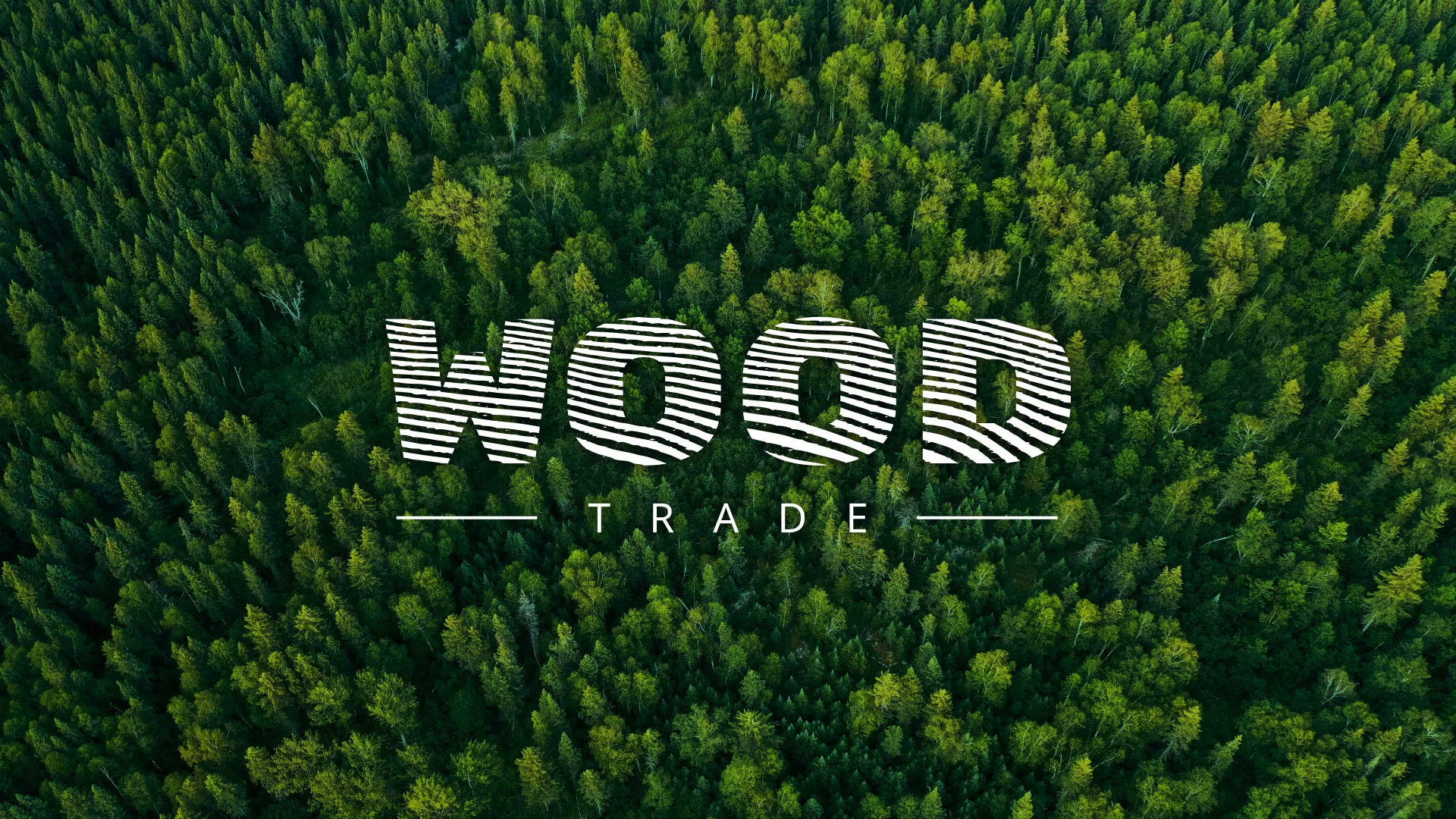 Разработка интернет-магазина компании «Wood Trade» в Чухломе